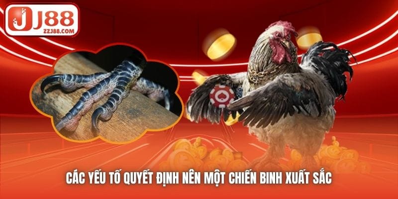 Các yếu tố quyết định nên một chiến binh xuất sắc 