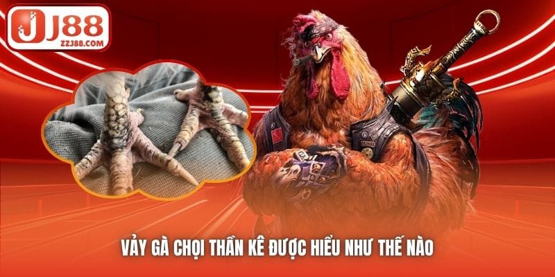 Vảy gà chọi thần kê được hiểu như thế nào 