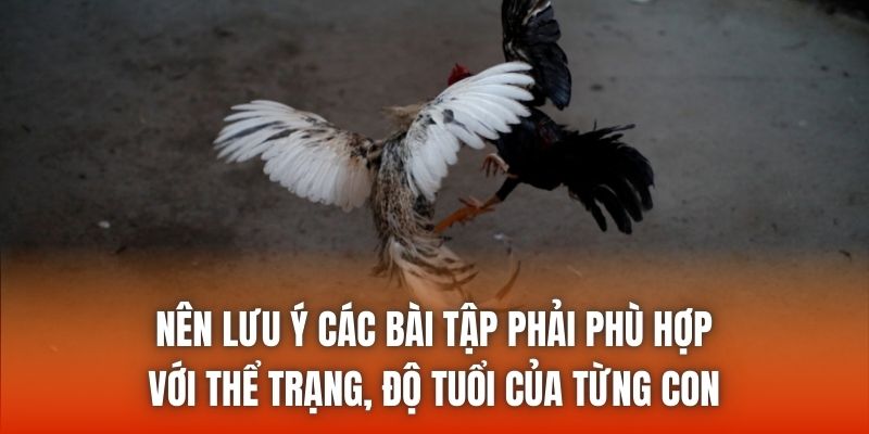 Nên lưu ý các bài tập phải phù hợp với thể trạng, độ tuổi của từng con